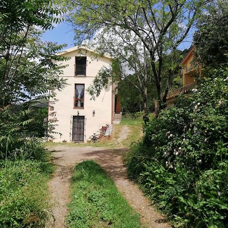 La Peonia Casa Vacanze In Montagna Prato Verde Panorama Stupendo Sardegna Seulo Экстерьер фото