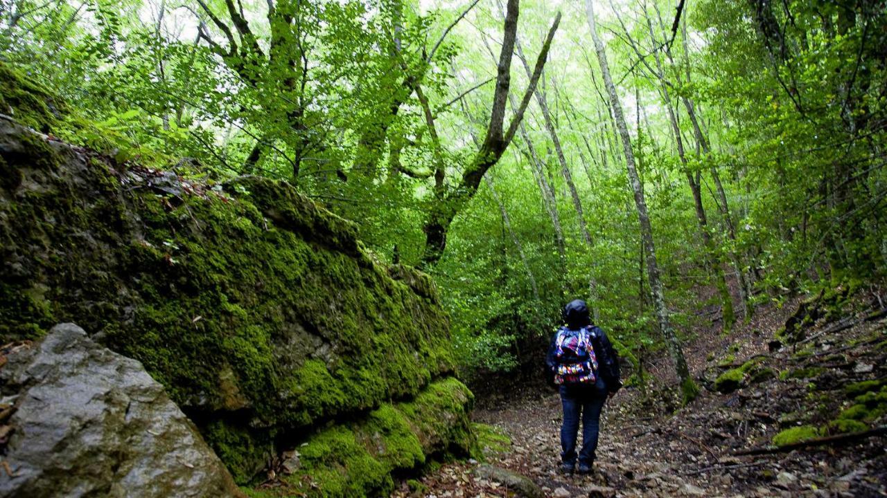 La Peonia Casa Vacanze In Montagna Prato Verde Panorama Stupendo Sardegna Seulo Экстерьер фото