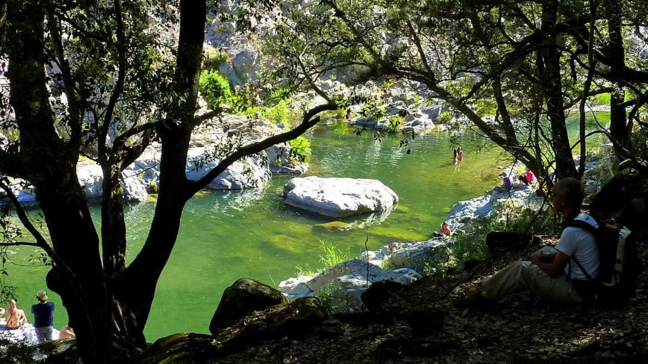 La Peonia Casa Vacanze In Montagna Prato Verde Panorama Stupendo Sardegna Seulo Экстерьер фото